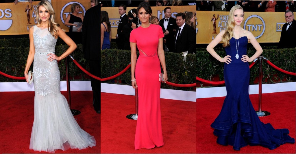 Sag awards 2013